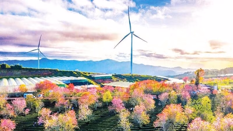 A wind power project in Lam Dong.