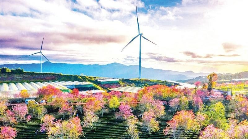 A wind power project in Lam Dong.