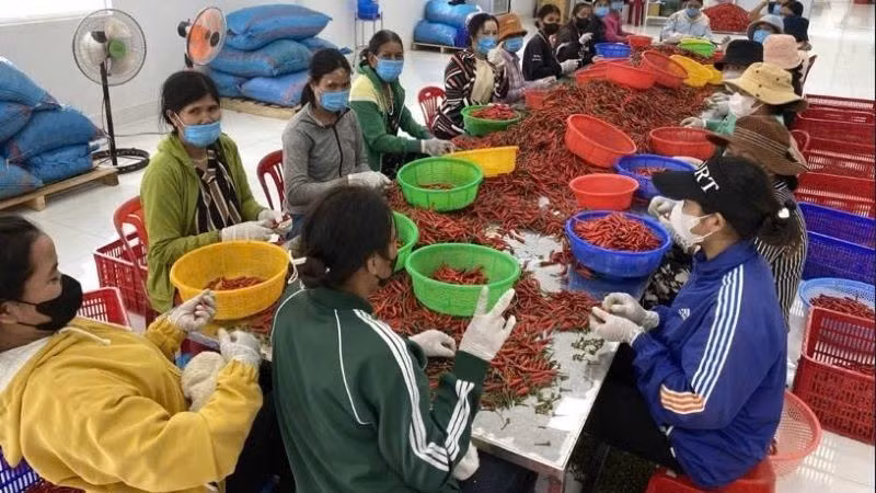 National rural and agricultural census to begin in July