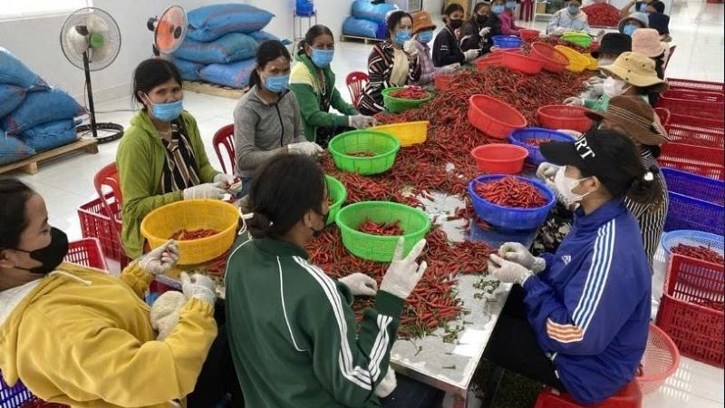 National rural and agricultural census to begin in July