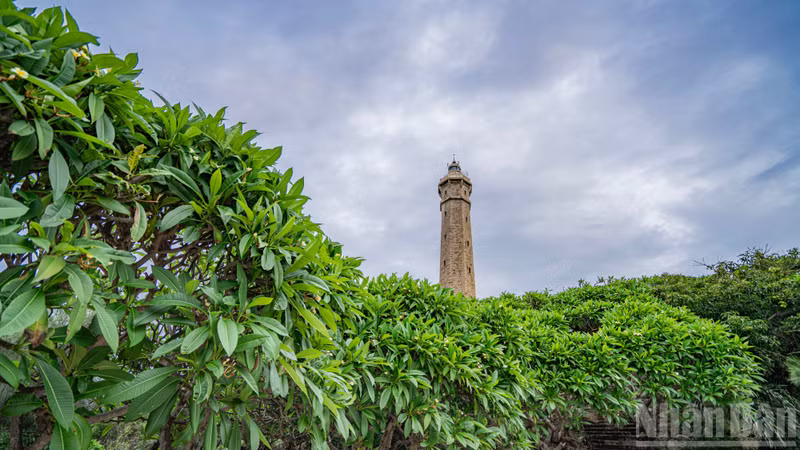 Adding to its weathered charm are rows of frangipani trees, their shade and gentle fragrance creating a peaceful atmosphere for visitors.