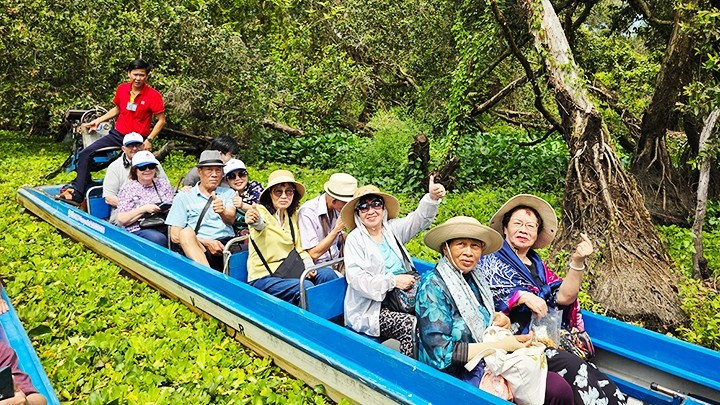 Visitors at a mangrove forest in southwestern Viet Nam. (Photo: Nam Anh)