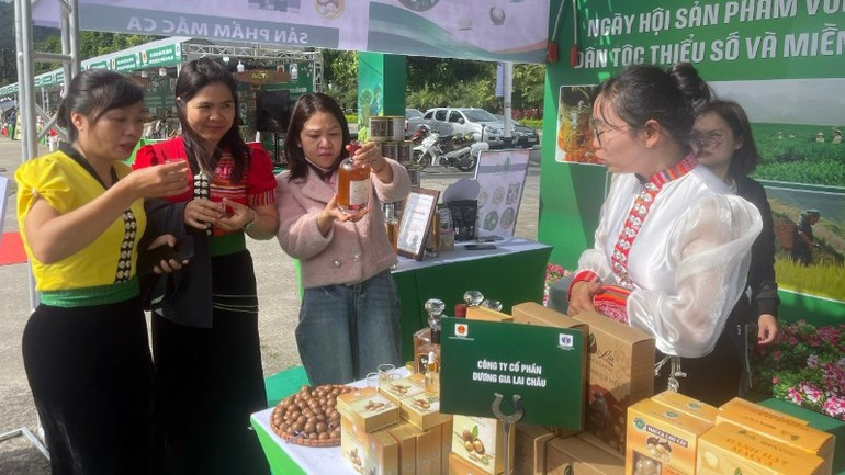 Visitors at the festival.