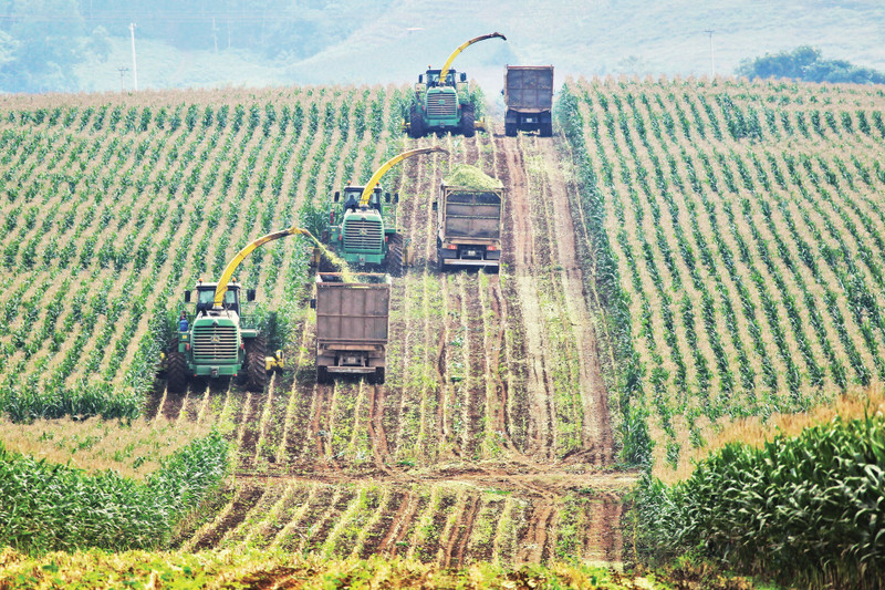 TH Group is a prime example of sustainable investment in high-tech agriculture and the circular economy.