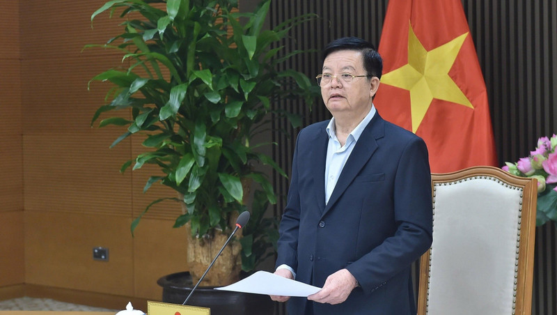 Deputy Prime Minister Mai Van Chinh addresses the event. (Photo: VGP)