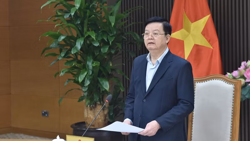 Deputy Prime Minister Mai Van Chinh addresses the event. (Photo: VGP)