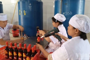 Fish sauce producers in Ca Na Commune (Khanh Hoa Province) are busy to prepare products for the Tet market. (Photo: NGUYEN TRUNG)