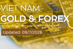 Infographic: Domestic SJC gold prices remain unchanged on July 9