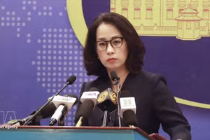 Spokesperson of the Ministry of Foreign Affairs Pham Thu Hang (Photo: VNA)