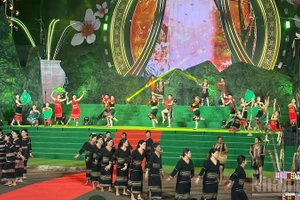 The art programme “Mang Den – Pink Colours Amid the Great Forest”