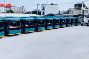 [Video] Ho Chi Minh City to offer free bus services from April 30