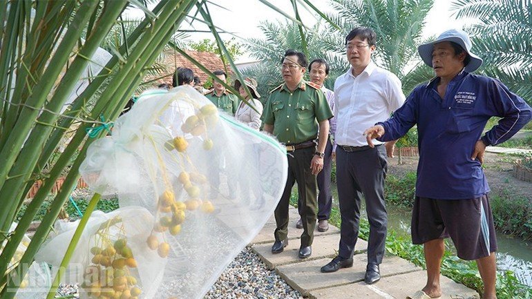 19-8-dong-thap-3.jpg