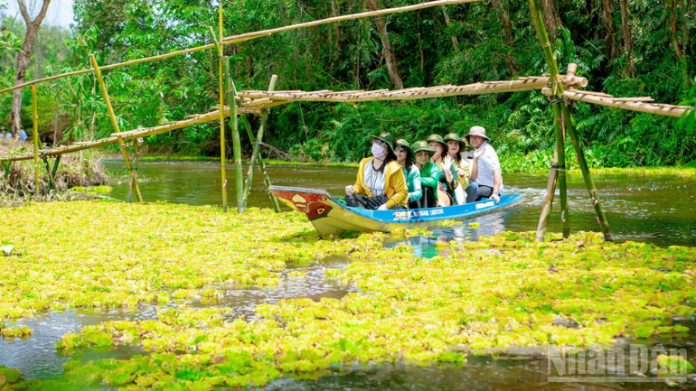 Tourists experience and take photos at the tourist area. 31-7-c2.png