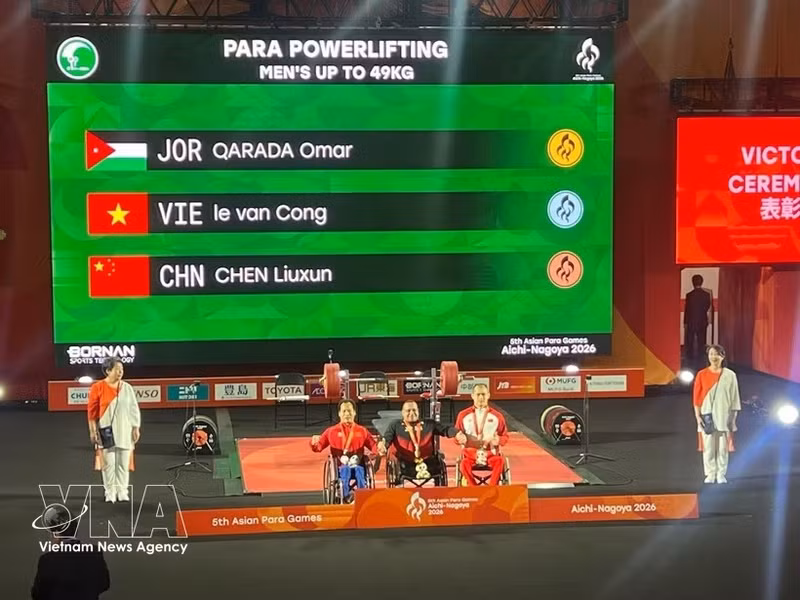 Illustrative image (Photo: Viet Nam Asian Para Games delegation)