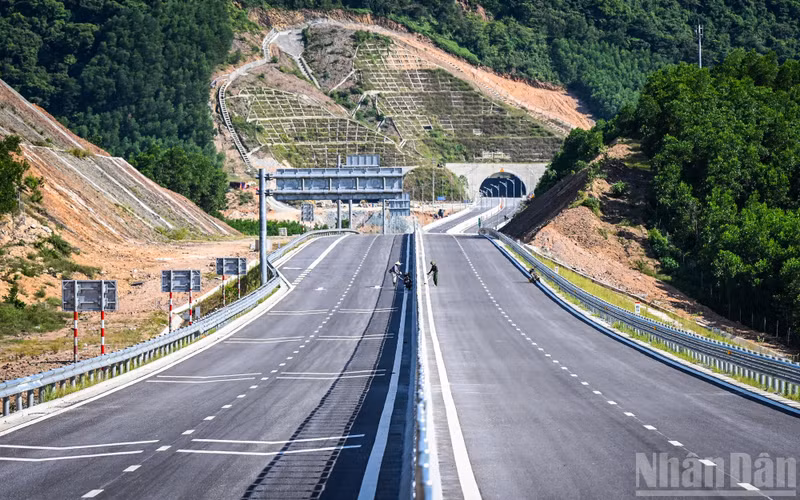 expressway8.jpg