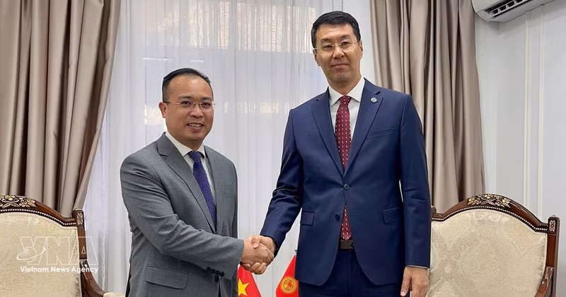 Vietnamese Ambassador Nguyen Thanh Le (L) presents a copy of his credentials to Kyrgyzstan’s Deputy Foreign Minister Meder Abakirov in Bishkek on August 17. (Photo: VNA)
