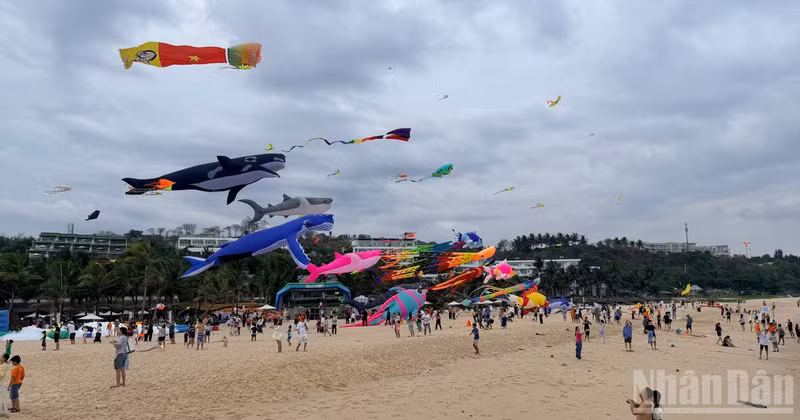Kites soaring across the beach sky attract many visitors.
