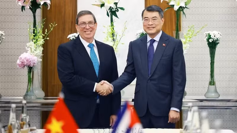 Prime Minister Le Minh Hung (right) and Bruno Rodriguez Parrilla, Politburo member and Minister of Foreign Affairs of Cuba at their meeting in New Delhi on September 12 (Photo: VNA)