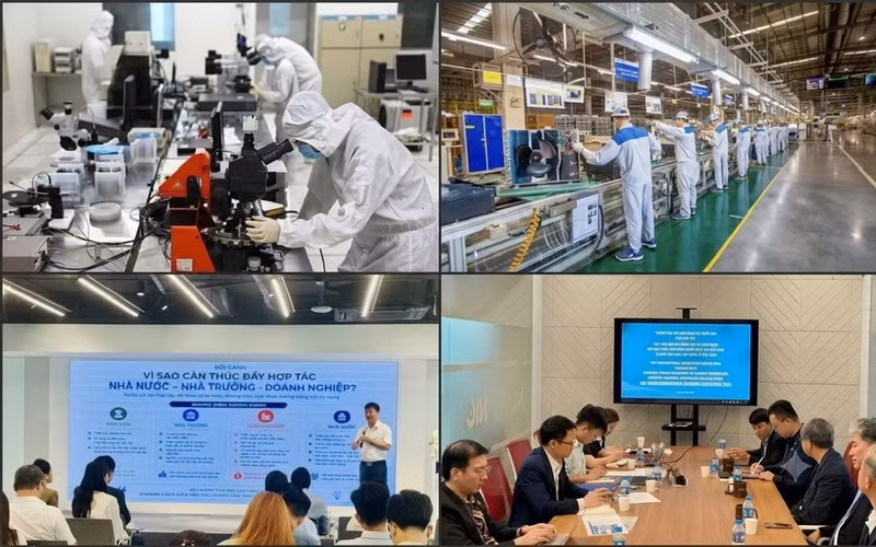 The “three-stakeholder” linkage model (the State, businesses, and research institutes/universities) helps connect scientific research with the practical needs of the market. (Photo: DO BAO–MAI HUYEN)