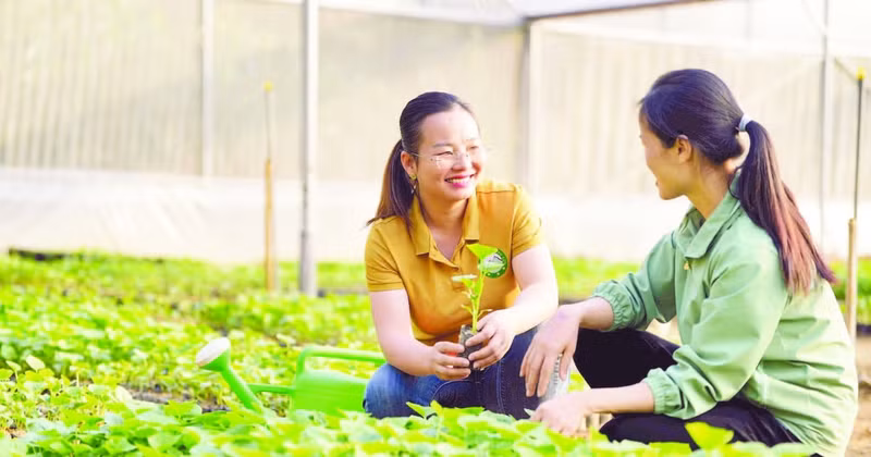 Farmers take part in a project supporting household agribusiness development in Cao Bang Province. (Photo: Viet Ha).