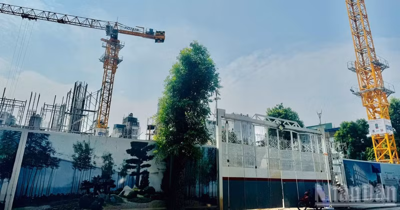 The key question for the real estate market now lies in its position within a broader ecosystem encompassing policy, infrastructure, human capital, and capital flows. 
