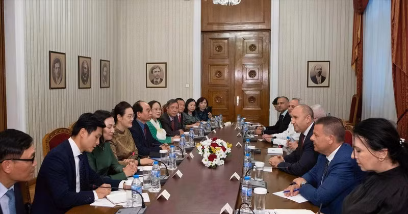 The meeting between Bulgarian President Rumen Radev and the Vietnamese delegation in Sofia on June 4. (Photo: VNA) 