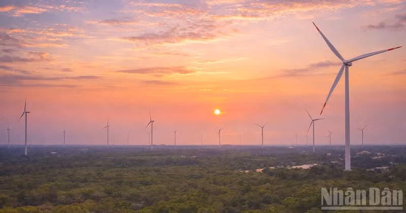 Adapting to EU green regulations: Legal requirements and solutions for Vietnamese exports