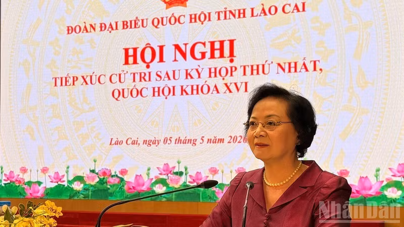 Deputy Prime Minister Pham Thi Thanh Tra speaks at the meeting. (Photo: THANH SON)