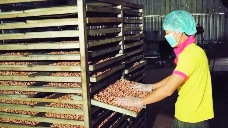In April 2026, Viet Nam’s agro-forestry-fishery import value reached an estimated 5.06 billion USD, a decrease of 1.4% compared with March.