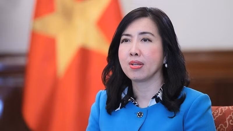 Deputy Minister of Foreign Affairs Le Thi Thu Hang (Photo: VNA) 