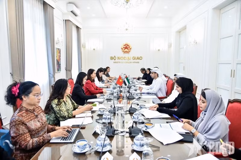 Viet Nam, UAE hold third political consultation between foreign ministries