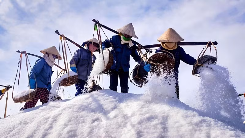 Farmers harvest salt at Hon Khoi.