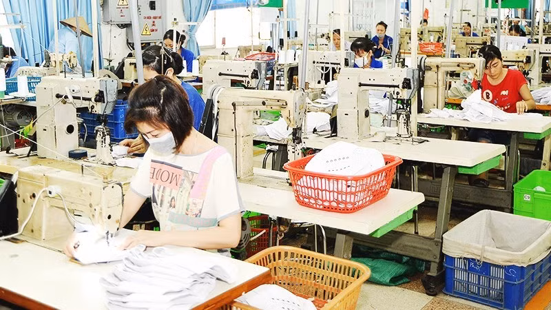 Businesses need to understand the standards of individual markets and the specific requirements applicable to their products. (Photo: NGUYET ANH)