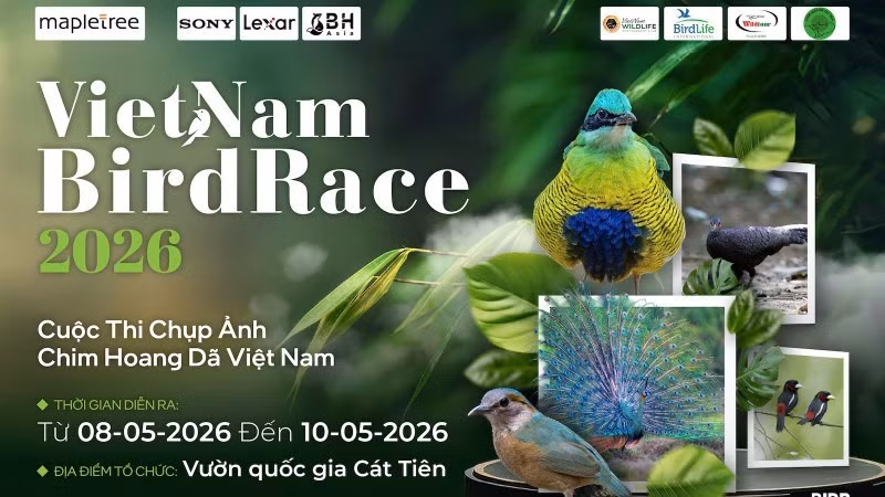 This marks the third edition of Viet Nam’s largest wildlife bird photography competition. (Photo: the organising committee)