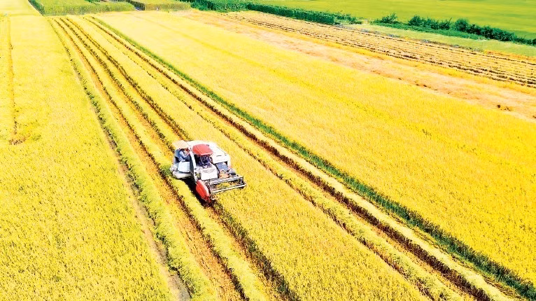 Rising harvesting costs have reduced farmers’ profits.