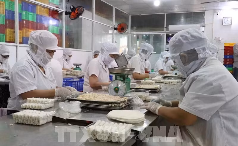 Workers produce fried spring rolls at the Kim Ngoc Food Company in Tan An ward, Tay Ninh province. (Photo: VNA)