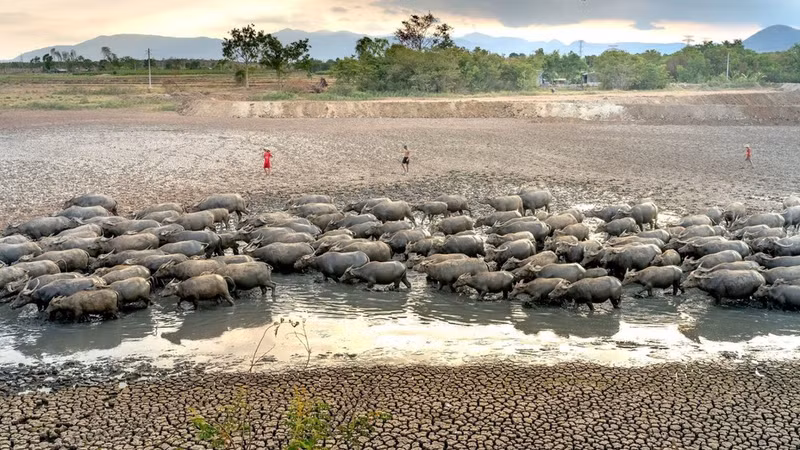 Prolonged dry conditions will deplete water resources. (Photo: Quang Nguyen)