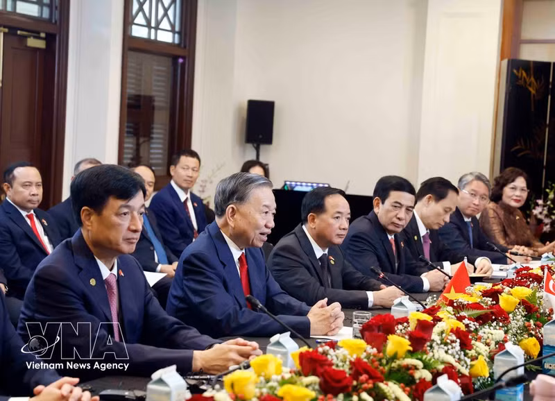 General Secretary of the Communist Party of Viet Nam Central Committee and State President To Lam (front, second from left) speaks at the talks with Singaporean Prime Minister Lawrence Wong on May 29. (Photo: VNA)