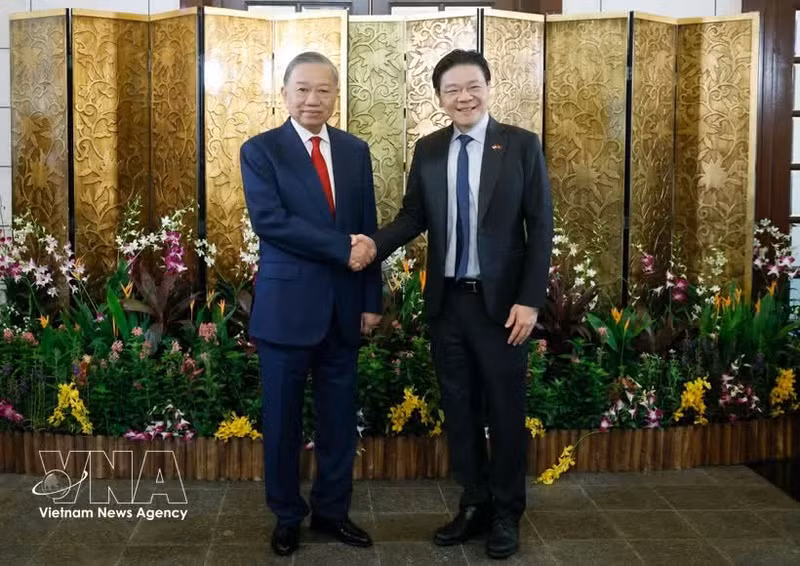 General Secretary of the Communist Party of Viet Nam Central Committee and State President To Lam (left) meets with Singaporean Prime Minister Lawrence Wong on May 29. (Photo: VNA)