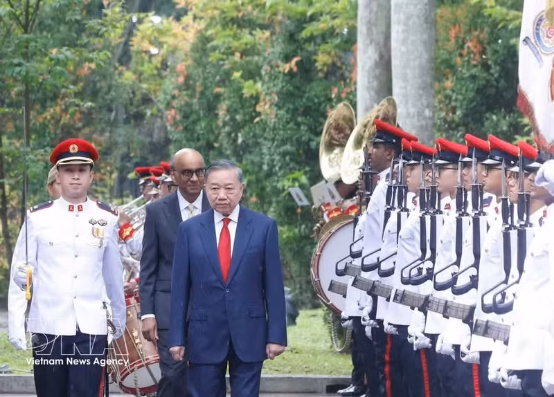 Party General Secretary and State President To Lam and Singaporean President Tharman Shanmugaratnam inspect the guard of honour at the welcome ceremony on May 29 morning. (Photo: VNA)