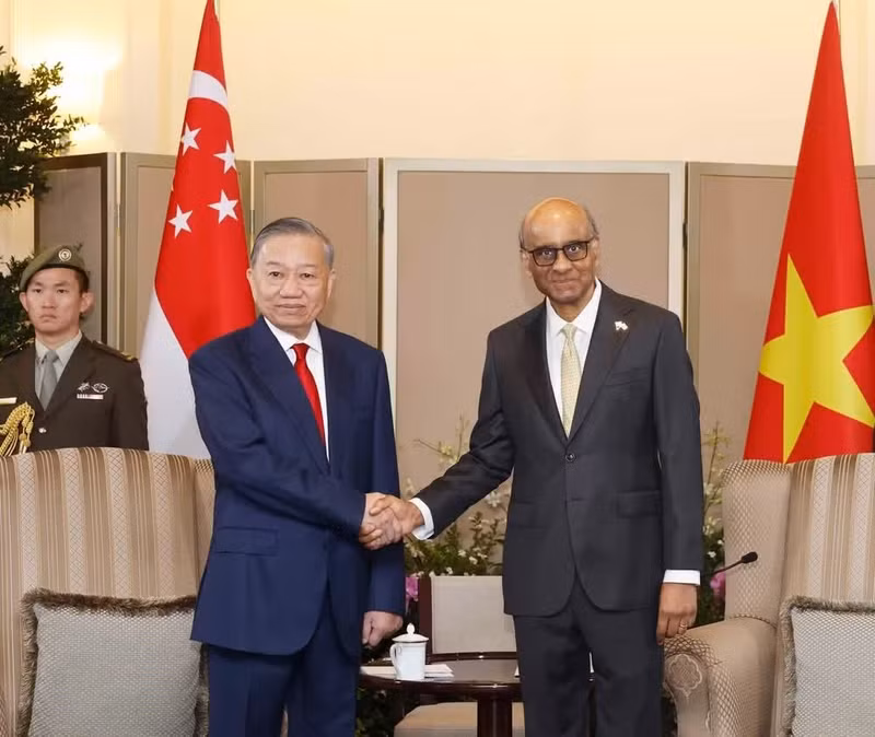 Party General Secretary and State President To Lam (L) and Singaporean President Tharman Shanmugaratnam at their talks on May 29. (Photo: VNA)