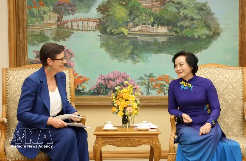 Deputy Prime Minister Pham Thi Thanh Tra (R) receives WHO Representative in Viet Nam Angela Pratt (Photo: VNA)