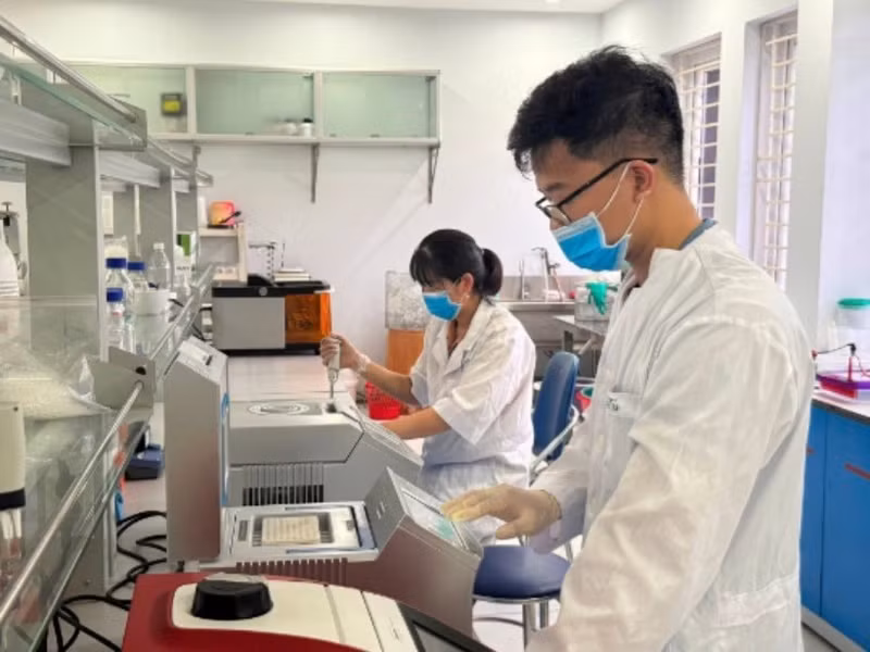 Research on variety selection and breeding at the Field Crops Research Institute. (Photo: HA LINH)