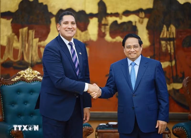 Prime Minister Pham Minh Chinh receives Swedish Ambassador to Viet Nam Johan Ndisi in Ha Noi on January 30, 2026. (Photo: VNA)