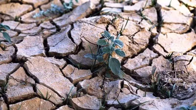 The water crisis continues to intensify in both scale and severity. (Photo: Xinhua)