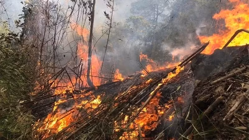 The scene of a forest fire at Nghiem Mountain, Hoang Khai Commune, Yen Son District, Tuyen Quang Province.
