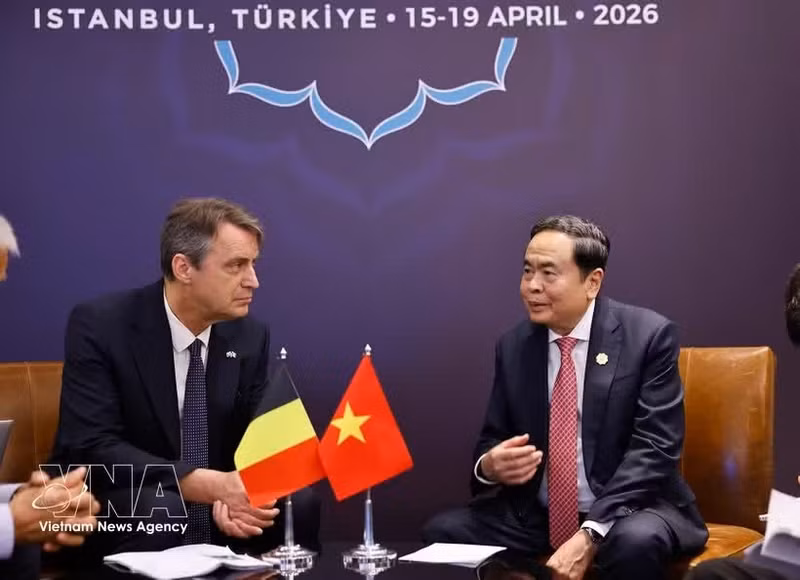 Chairman of the National Assembly Tran Thanh Man (right) meets with President of the Belgian Senate Vincent Blondel in Istanbul, Türkiye, on April 17. (Photo: VNA)