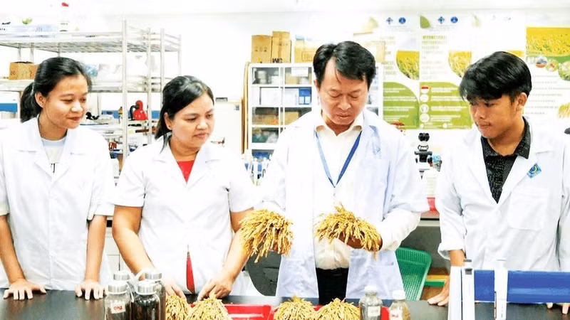 Can Tho University encourages students and postgraduate researchers to engage in research and industry placements.