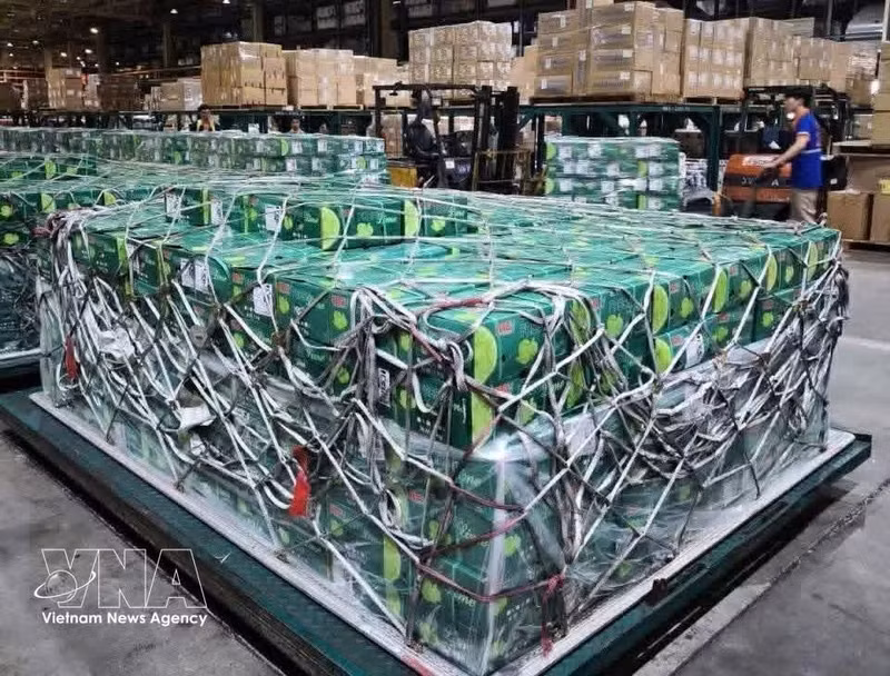 The shipments are at a warehouse before being transported to Lulu Group's supermarket system. (Photo: VNA broadcasts)