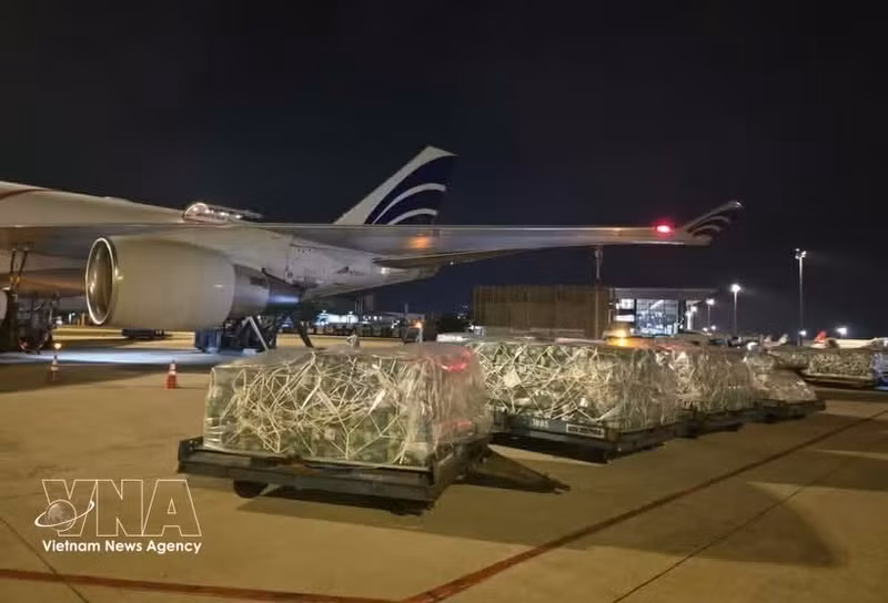 The shipments are unloaded at the airport. (Photo: VNA broadcasts)